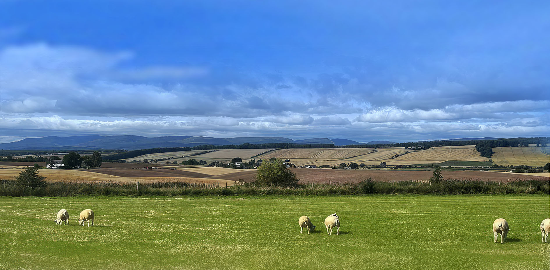 Broadslap Farm Shop and Café